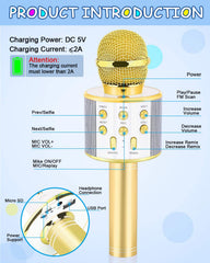 Dodosky gold Bluetooth karaoke mic enabling wireless singing and music sharing