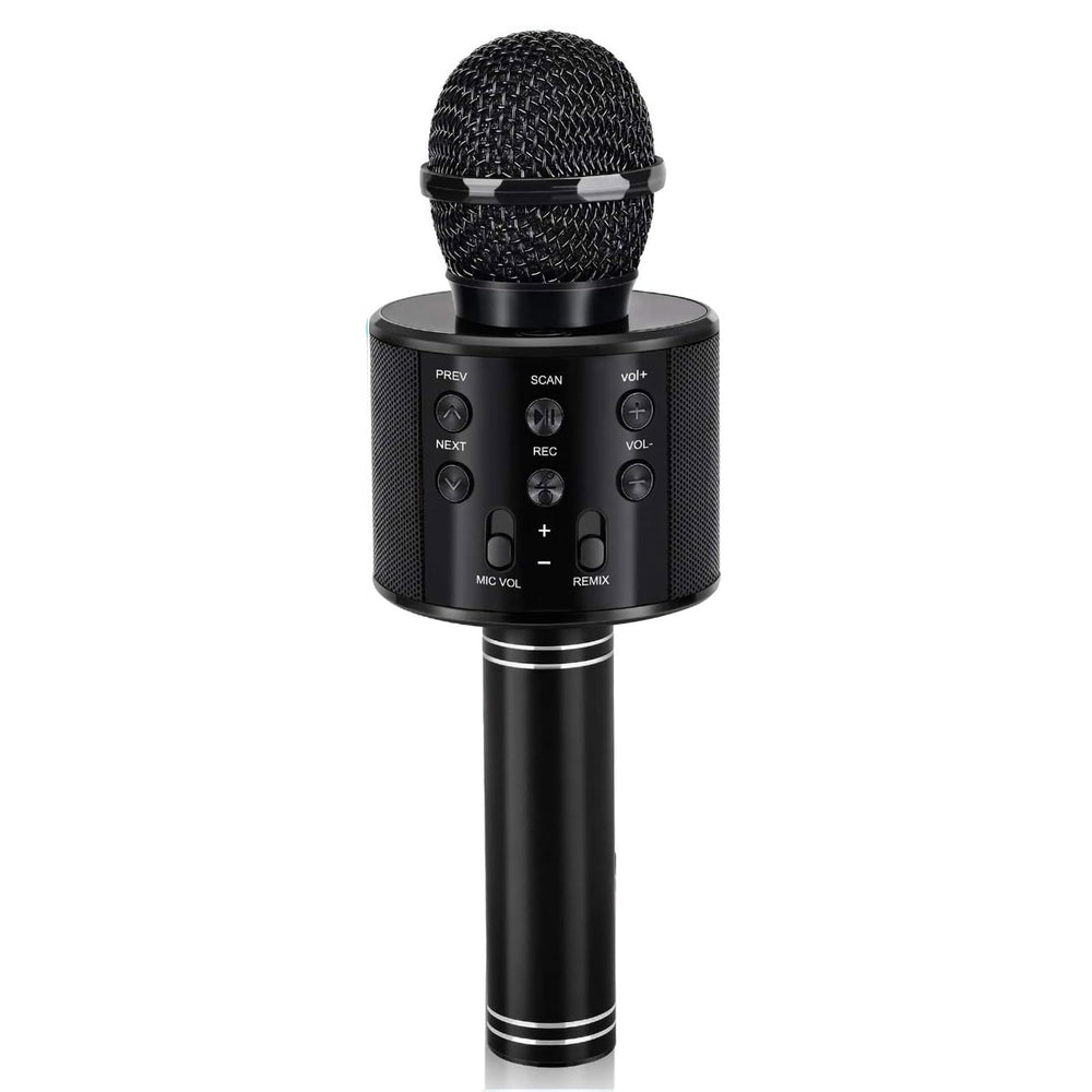 Dodosky karaoke microphone for kids being held during playful singing session