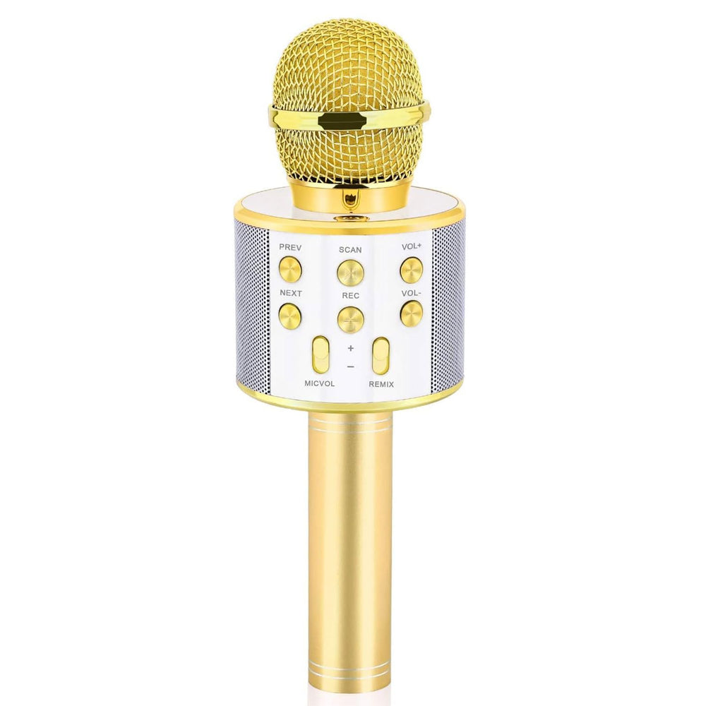 Dodosky gold kids karaoke microphone on stage for playful performances