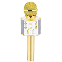 Dodosky gold kids karaoke microphone on stage for playful performances