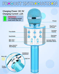 Dodosky professional karaoke system with foam nets and noise reduction.