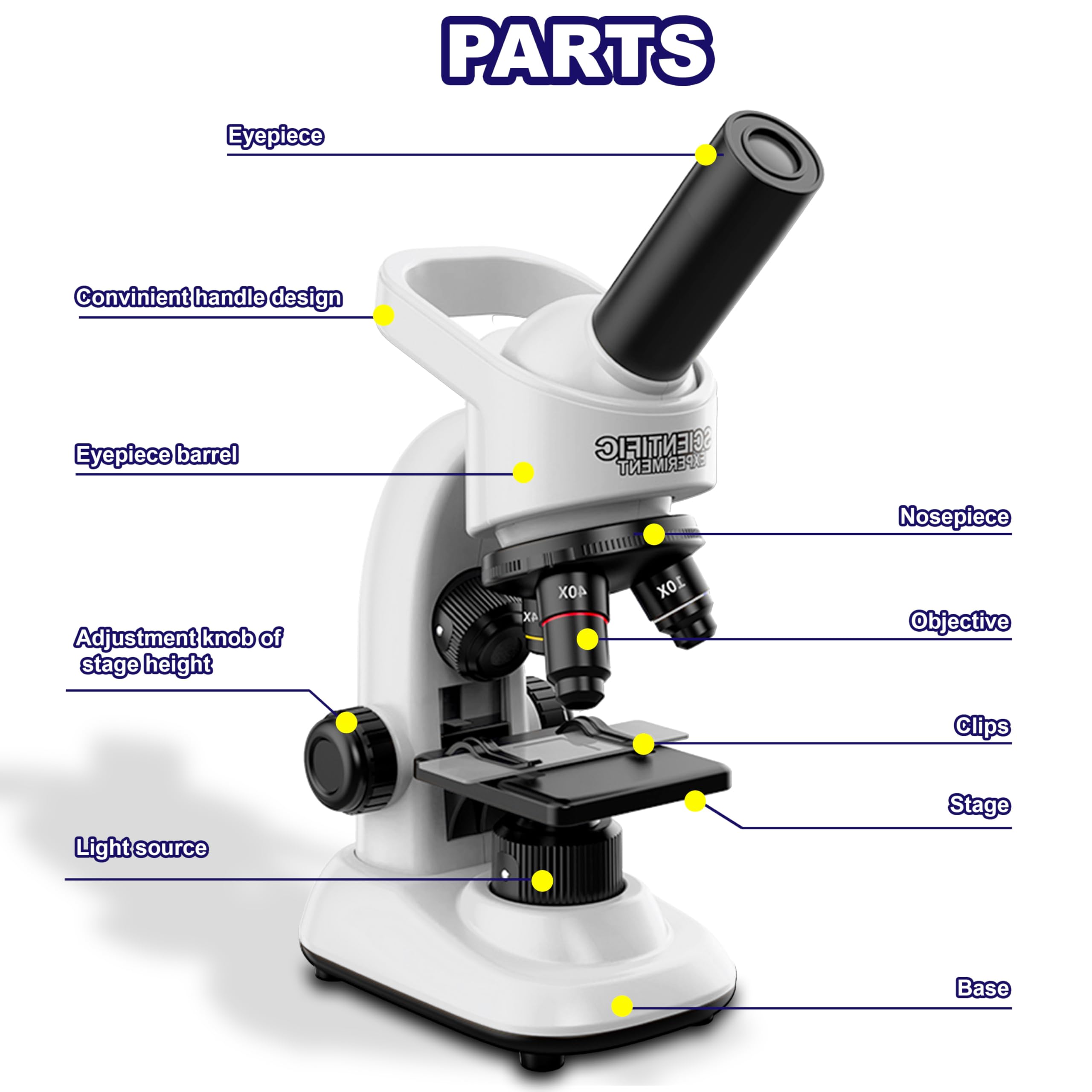 Double CC dual illumination system highlights contrast for opaque and translucent specimens.