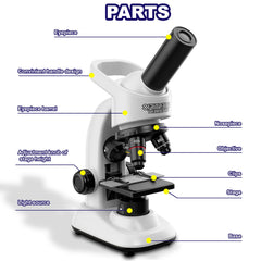 Double CC dual illumination system highlights contrast for opaque and translucent specimens.