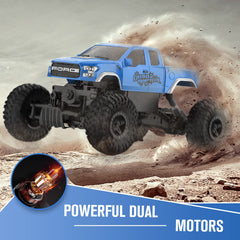 DOUBLE E Ford Raptor RC car rear view showing sturdy build for outdoor play