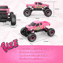DOUBLE E Raptor F150 RC car wheel and tire detail for grip and stability.