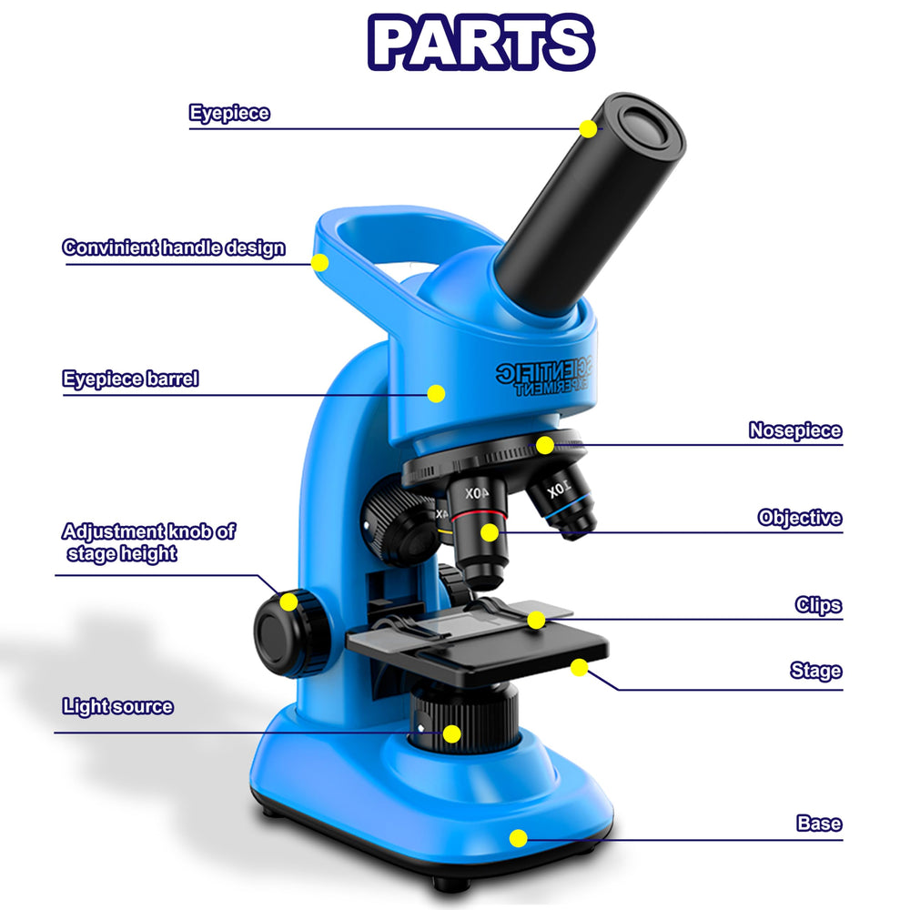 Prepared slides and tools included with the Double CC microscope for ready experiments.