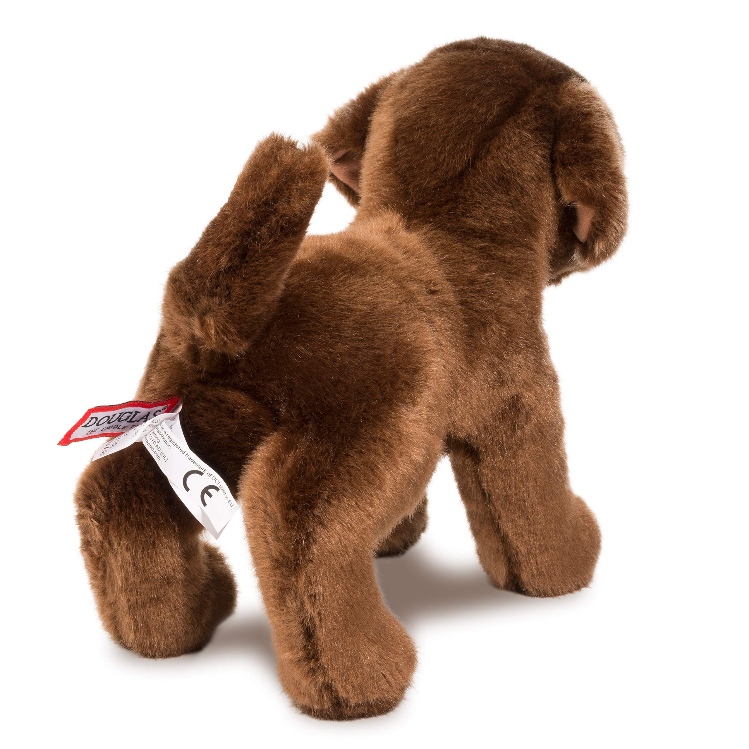 Douglas C.C. Bean Chocolate Lab plush measures 30 cm, ideal for small hands and display.