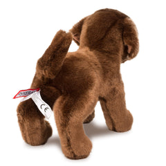 Douglas C.C. Bean Chocolate Lab plush measures 30 cm, ideal for small hands and display.