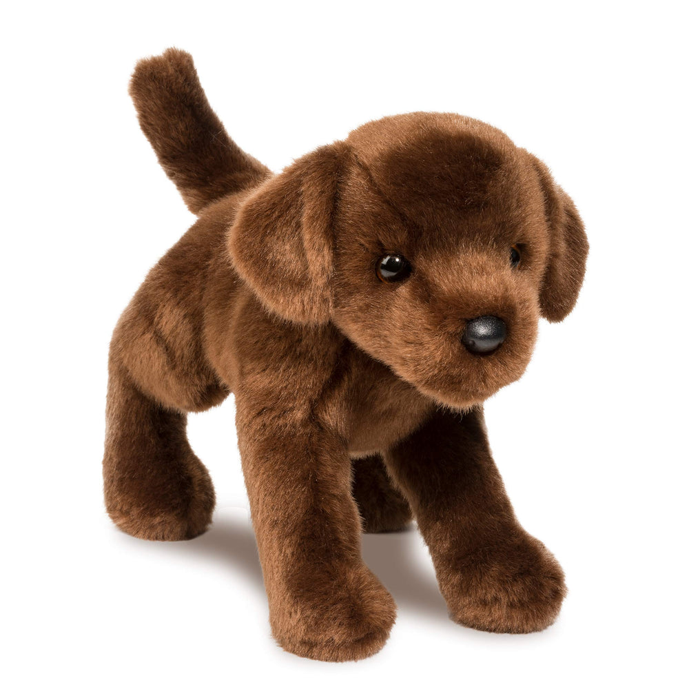 Douglas C.C. Bean Chocolate Lab plush closeup shows soft, huggable fur for cozy playtime.