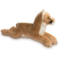 Expressive eyes of Douglas Kelso Mountain Lion invite imaginative adventures.