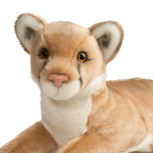 Close-up of Douglas Kelso Mountain Lion's face detail for friendly expression.