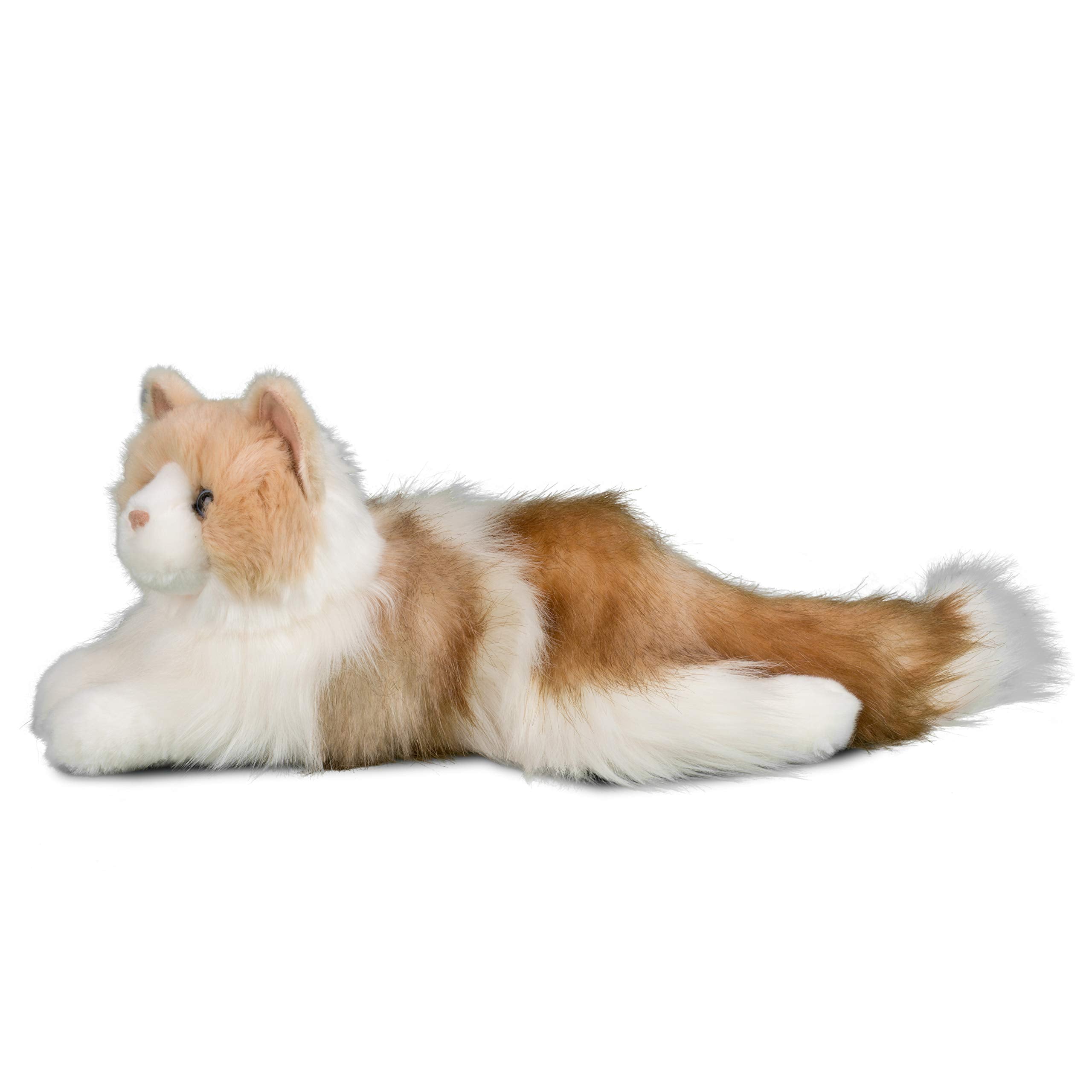 Douglas Kiki's face features blue eyes and pink nose for lifelike charm.