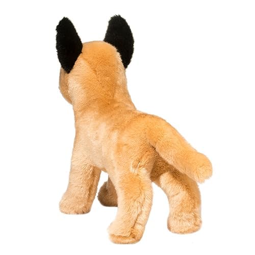 Bright eyes convey energy and eagerness to play.