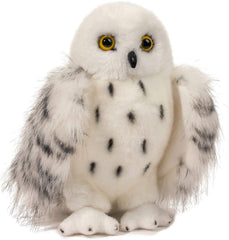 Douglas Wizard Snowy Owl plush face detail for a lifelike expression.