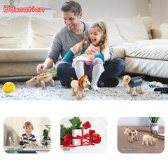 Drachompa bendable giraffe toy aids creative display and motor exploration