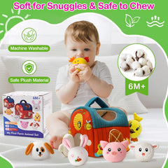 Dr.BeTree Barn mirror panel aids focus and self-recognition during play