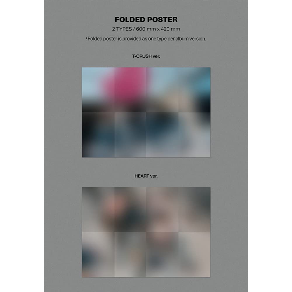 Dreamus Stray Kids MAXIDENT folded poster; display-ready artwork.