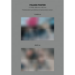 Dreamus Stray Kids MAXIDENT folded poster; display-ready artwork.