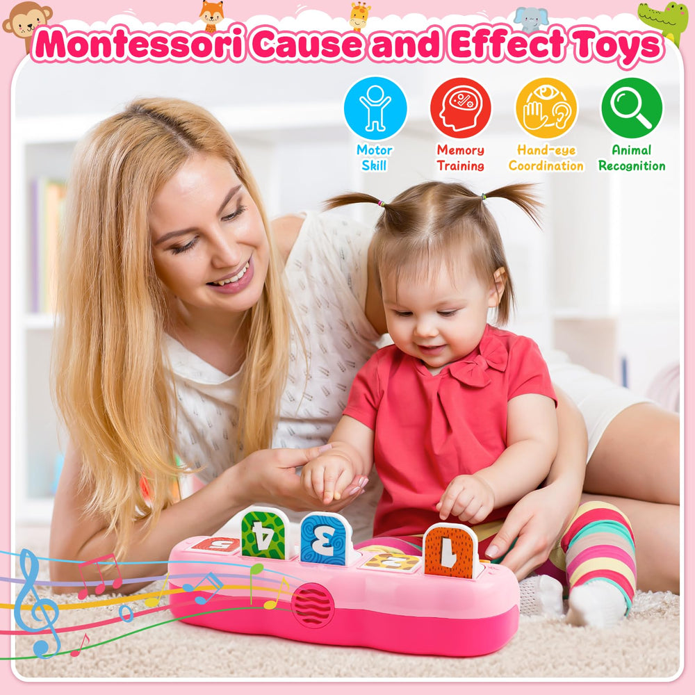 Duchong safe ABS BPA-free material ensures gentle, durable playtime.