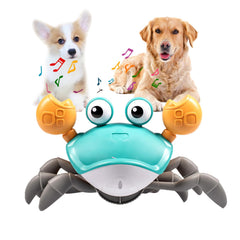 Dusja dancing crab dog toy with music and lights to boost interactive play.