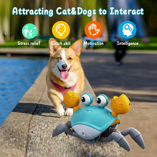 Dusja escaping crab dog toy uses obstacle-avoidance to encourage chasing.