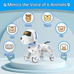 Dwi Dowellin robot dog battery life supports lengthy play sessions.