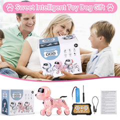 Dwi Dowellin pink robot dog packaging box presents a gift-ready toy.