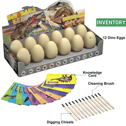 Earth'sCODE chisel and brush tools for careful excavation.