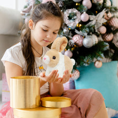 Easfan toy makes a great Easter or birthday gift.