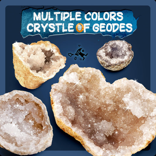 EDUMAN real geode crystal inside for natural formation study