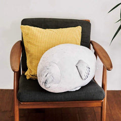EHOTONG vacuum-packed seal plush arriving with fluff-restoration tips.