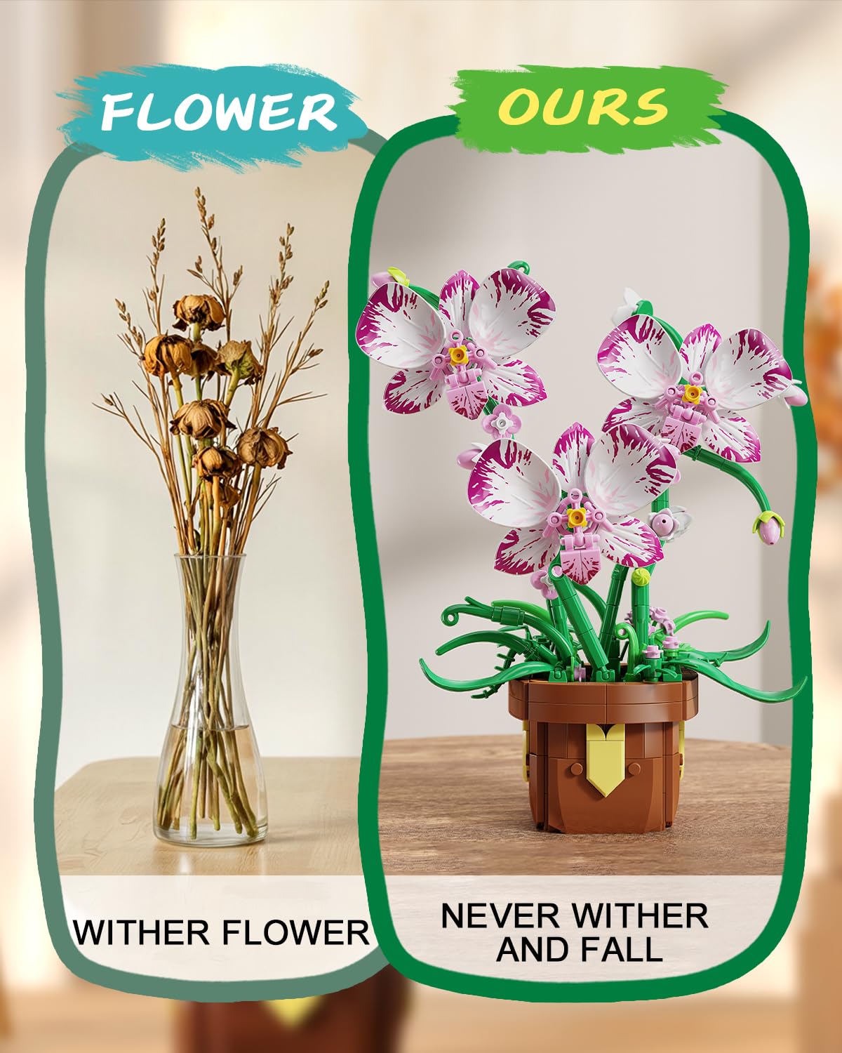 EITOLNR gift-ready orchid bonsai ideal for adults and kids.