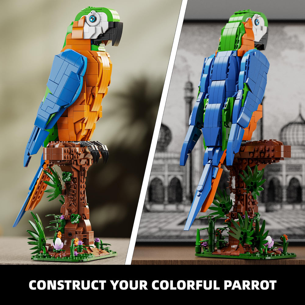 EITOLNR Macaw parrot close-up shows colorful feathers and detail