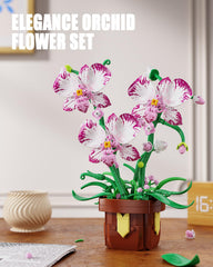 EITOLNR orchid bloom detail highlights delicate purple petals and color.