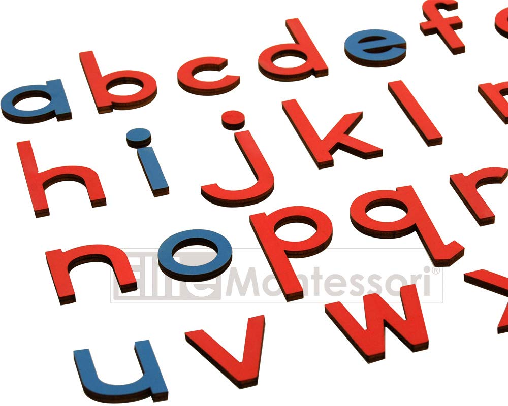 Elite Montessori bright red and blue letters aid visual sorting and literacy play.