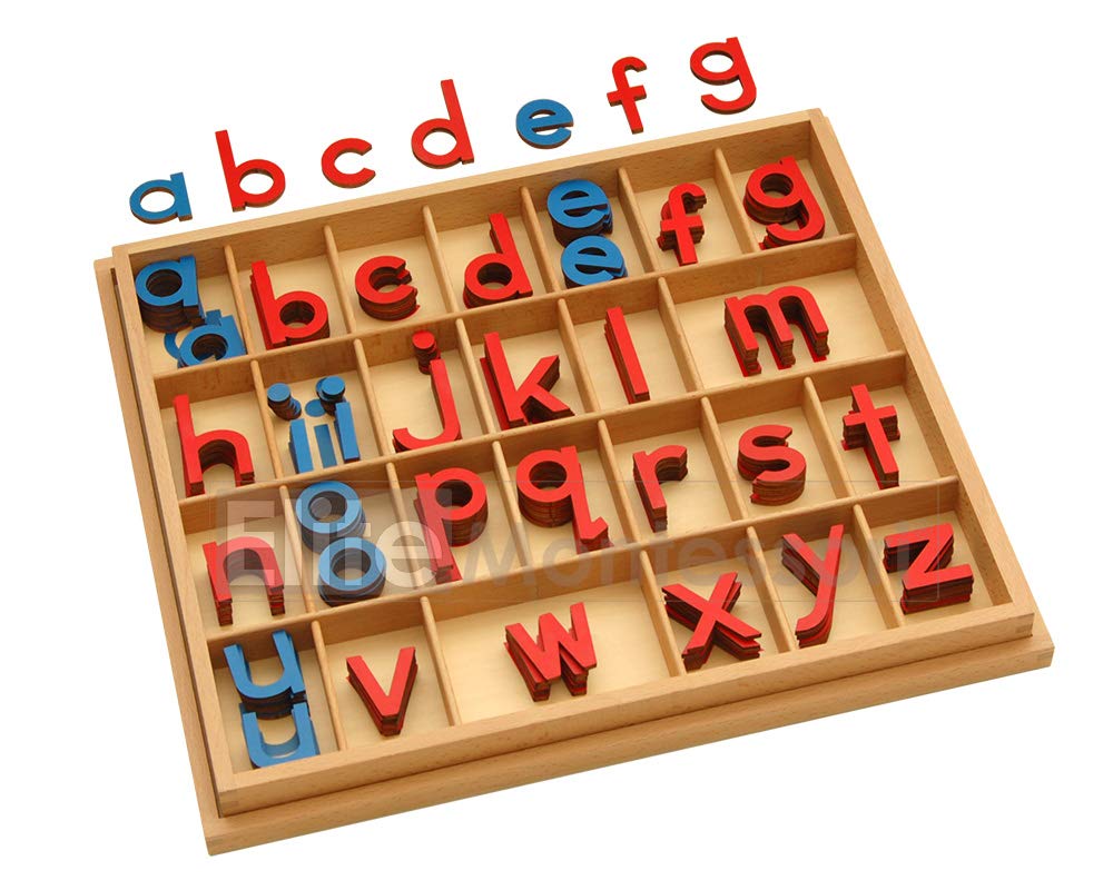 Elite Montessori movable alphabet letters in red and blue for early word building.