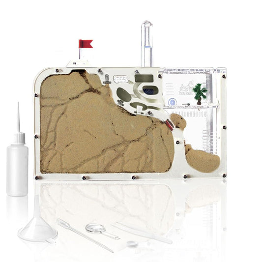 ELNMLHT Ant Farm Castle front view, double-sided habitat for observing activity.
