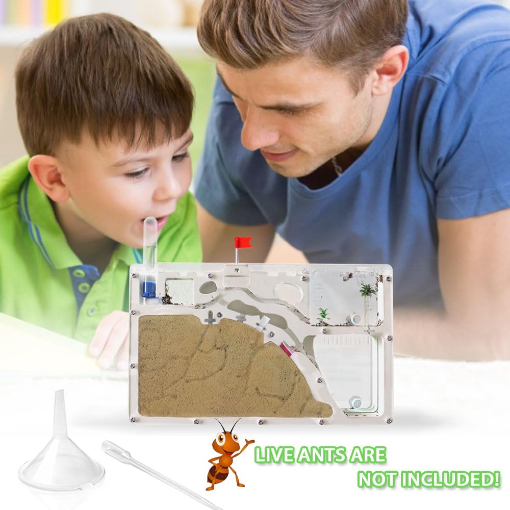 ELNMLHT Ant Farm decor tree and flag add habitat realism.