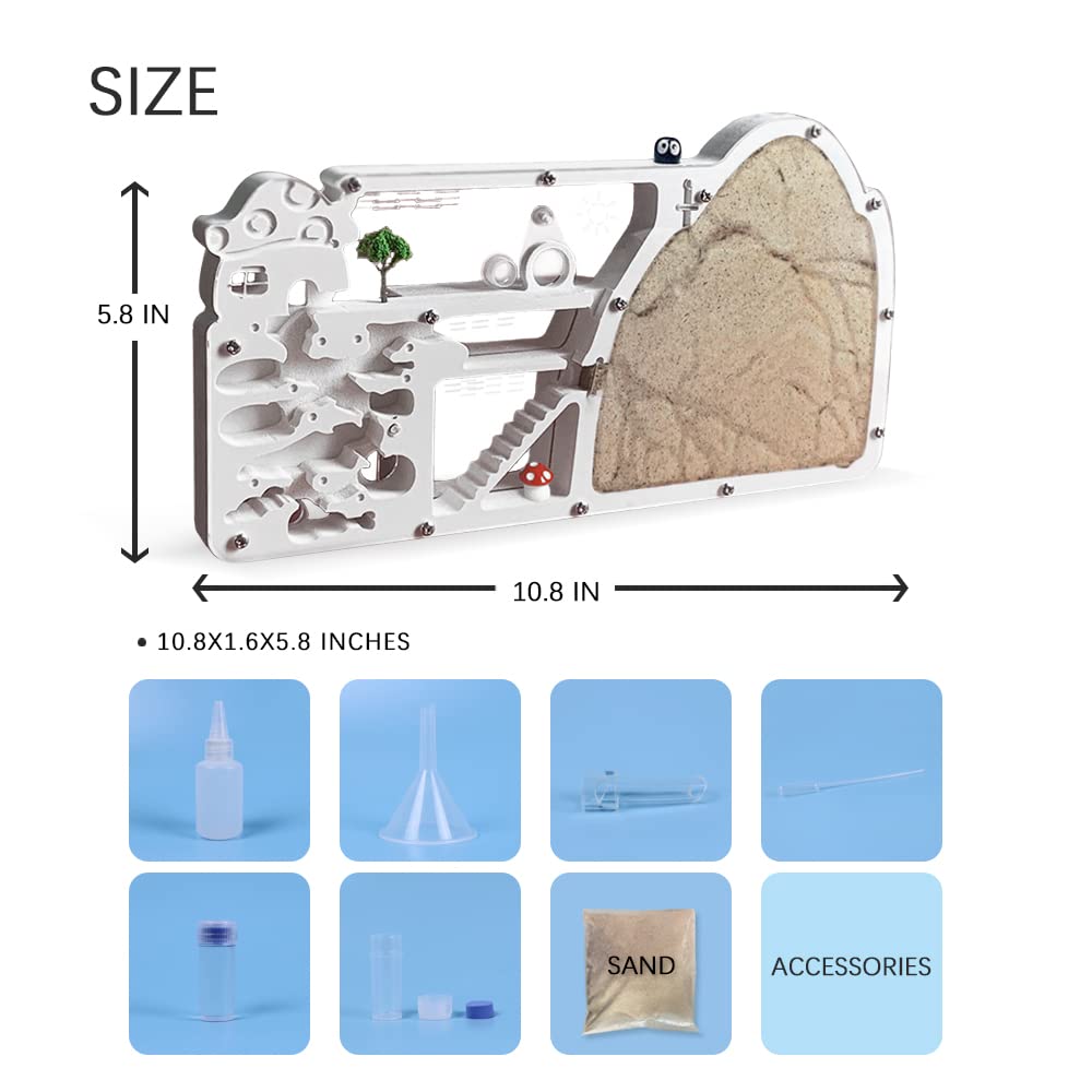 ELNMLHT ant farm sand pack demonstrates natural digging behavior