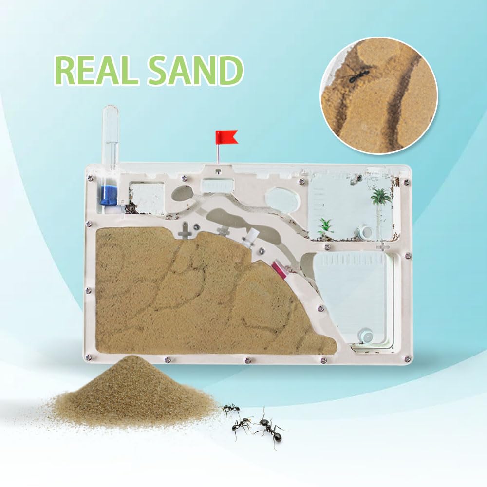 ELNMLHT Ant Farm Castle yellow sand setup ideal for digging and exploration.