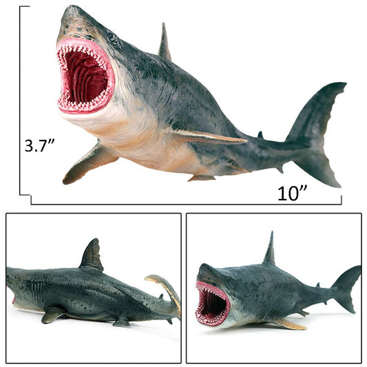 EOIVSH Megalodon figure front view showing lifelike sculpting.