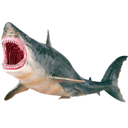 EOIVSH Megalodon shark figurine front view for display and play