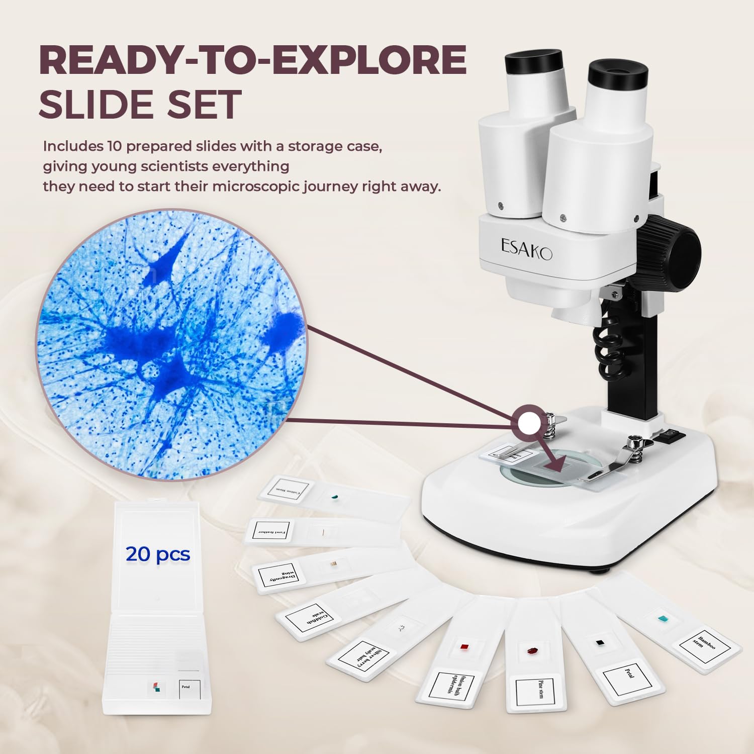 ESAKO microscope offering 20x and 50x magnification for detailed close-ups