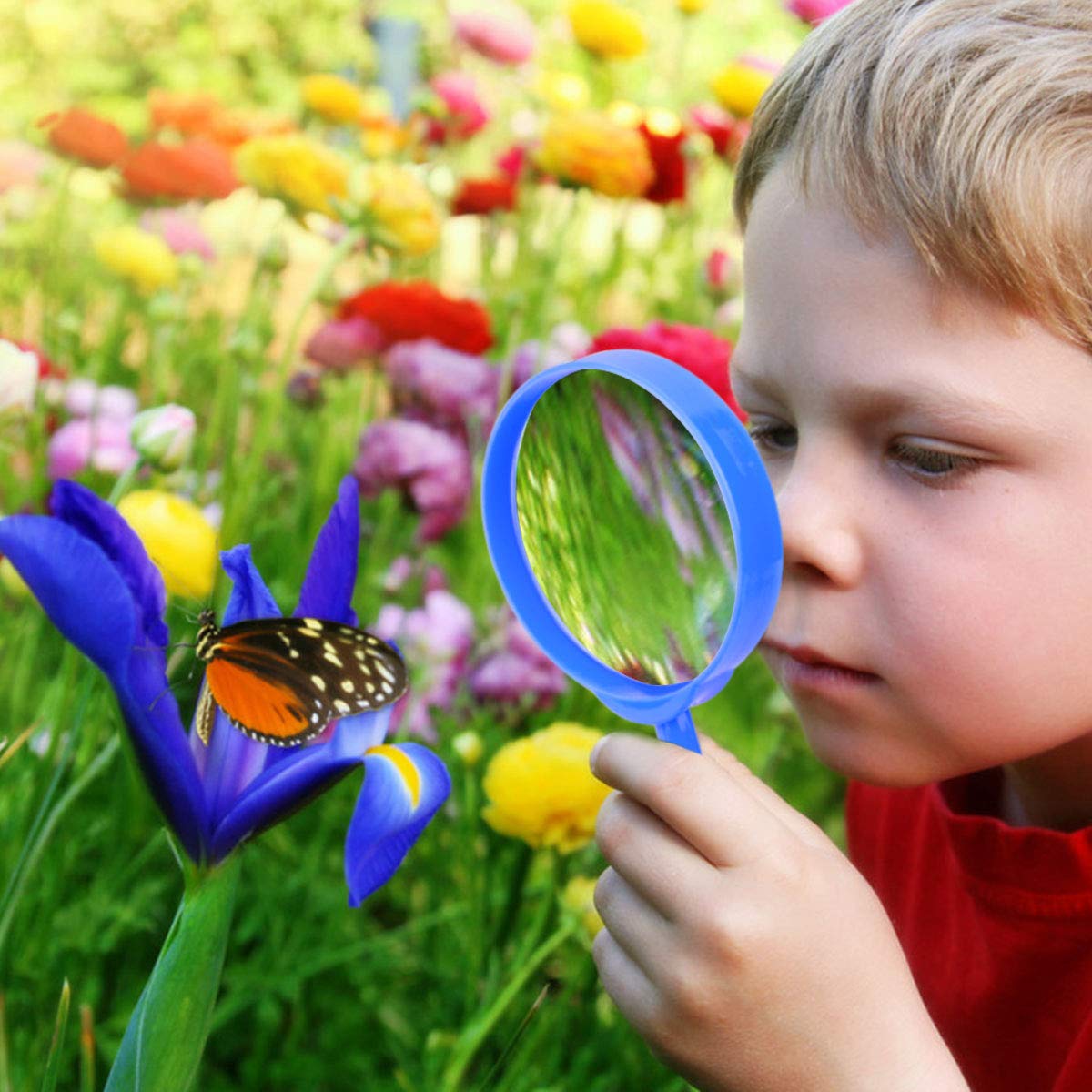 ESSENSON critter case keeps backyard discoveries safe for study