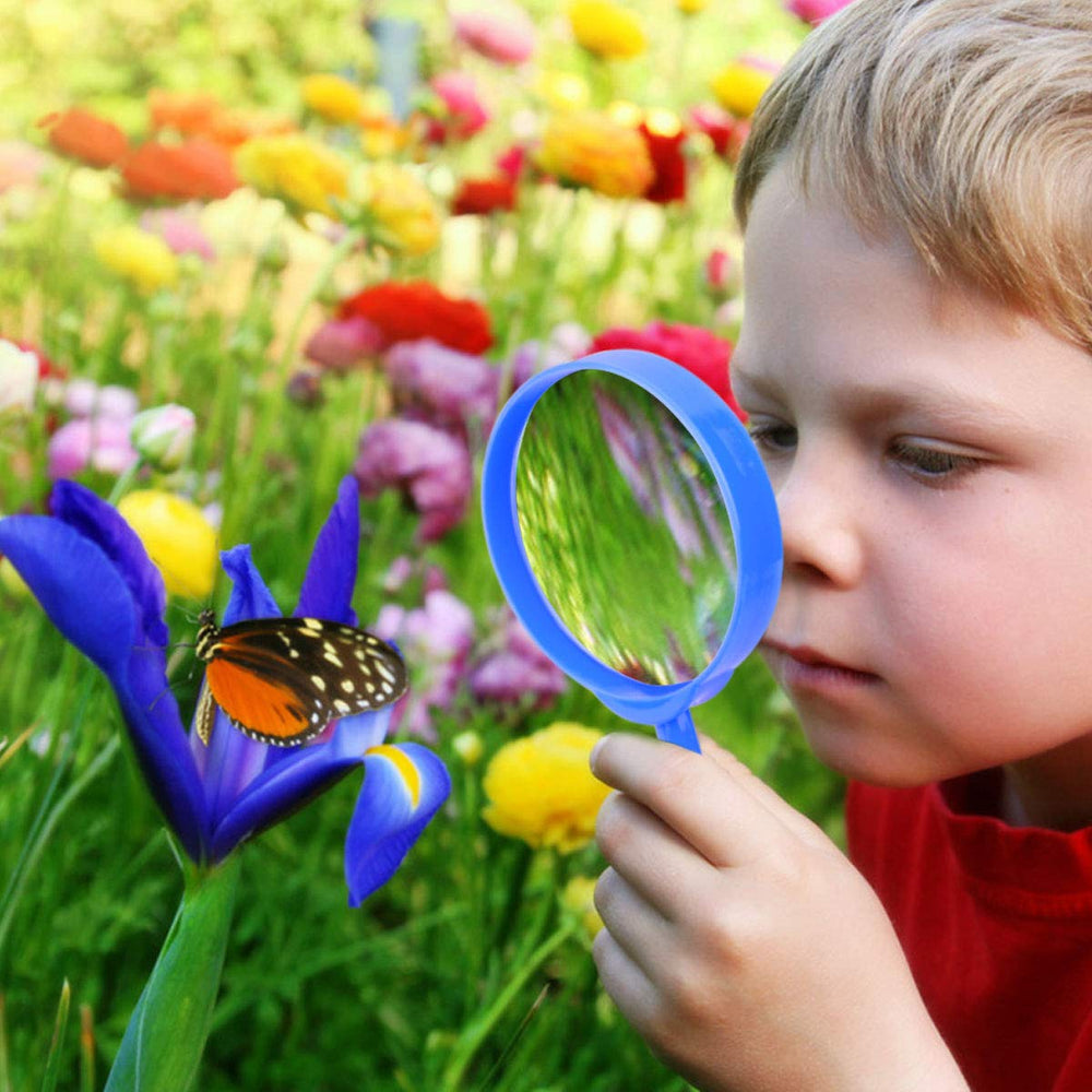 ESSENSON critter case keeps backyard discoveries safe for study