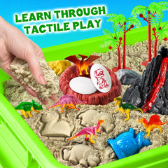 Essenson dinosaur fossils invite pretend excavations and fine motor development.