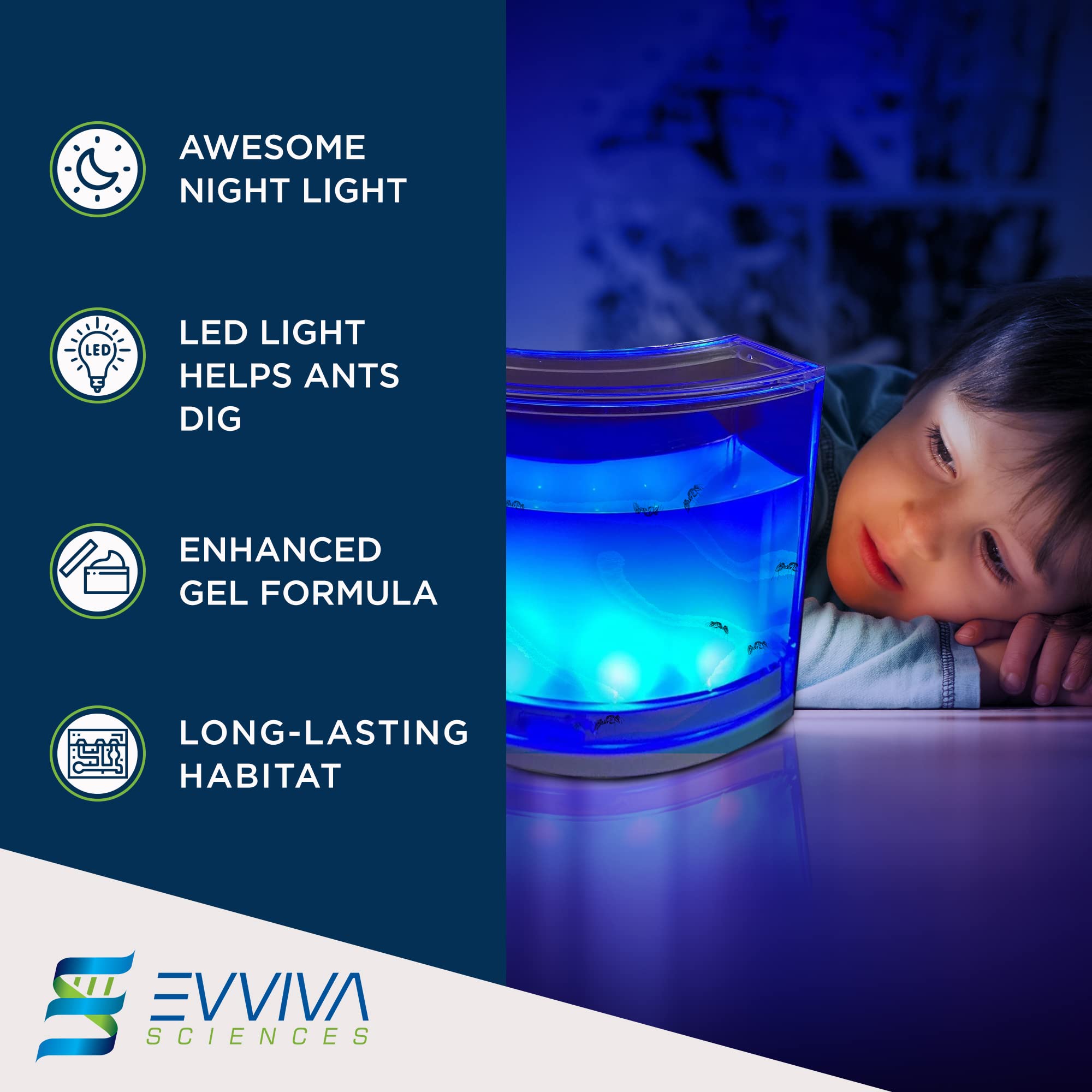Evviva Ant Habitat digging stick assists ants in tunneling