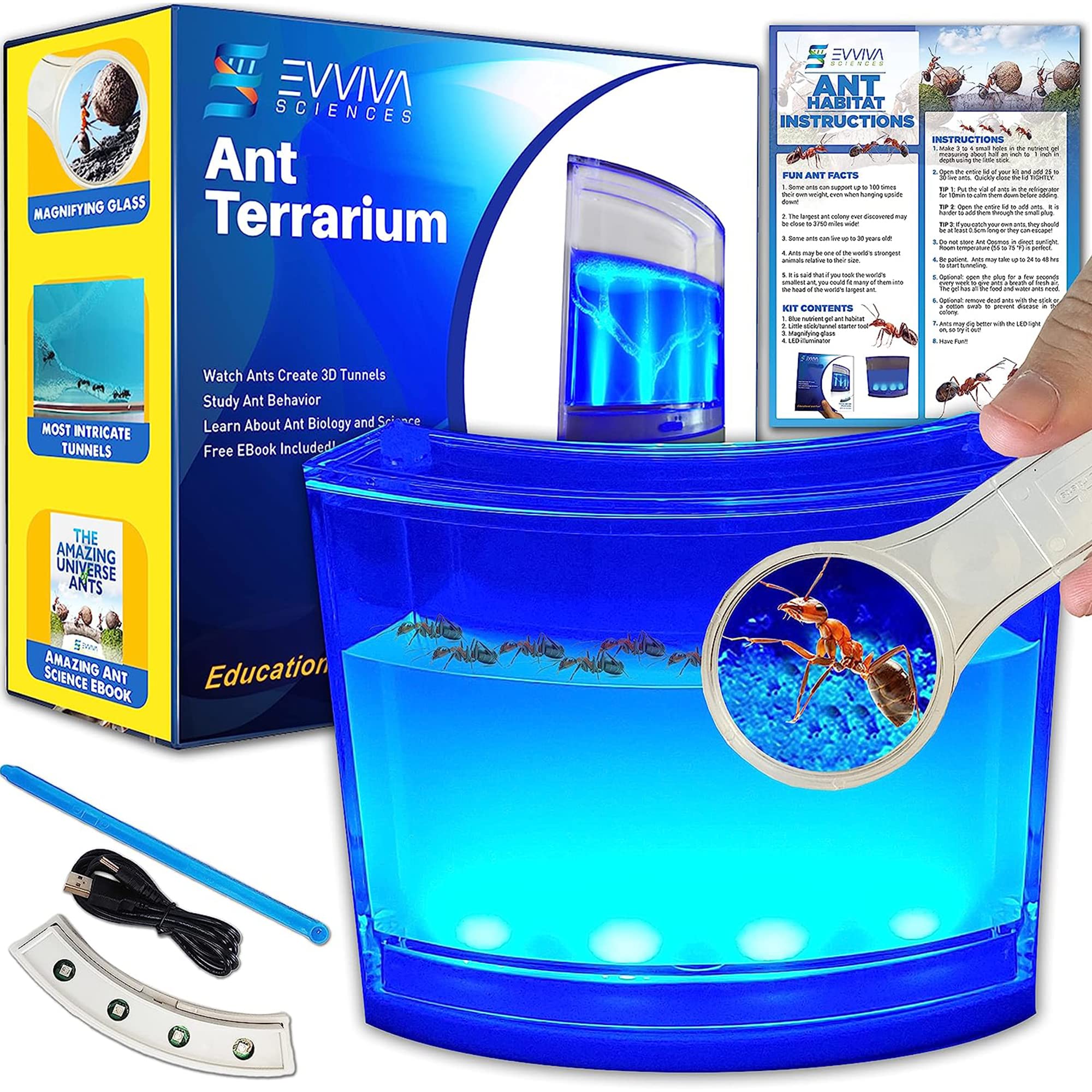 Evviva Ant Habitat LED base illuminates setup for night observation