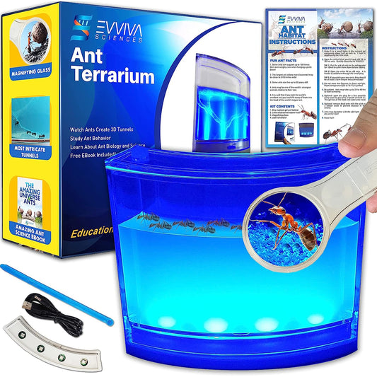 Evviva Ant Habitat LED base illuminates setup for night observation