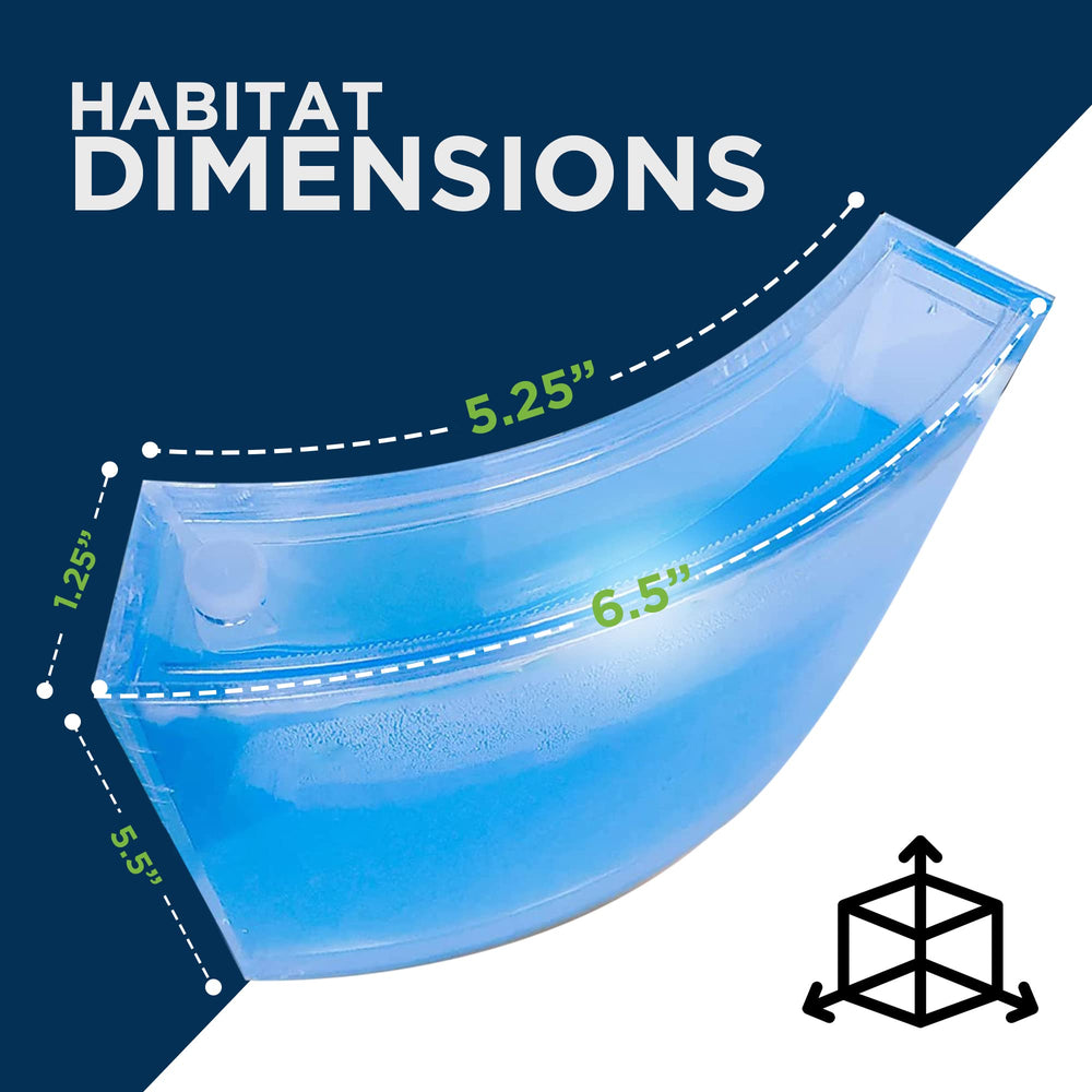 Evviva Ant Habitat magnifying glass enables detailed inspection